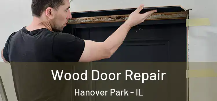 Wood Door Repair Hanover Park - IL